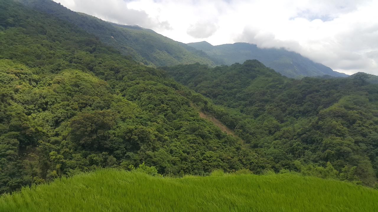 五葉松民宿-電梯民宿 近慈濟中小學及慈科大及人社院 Kota Hualien Bagian luar foto