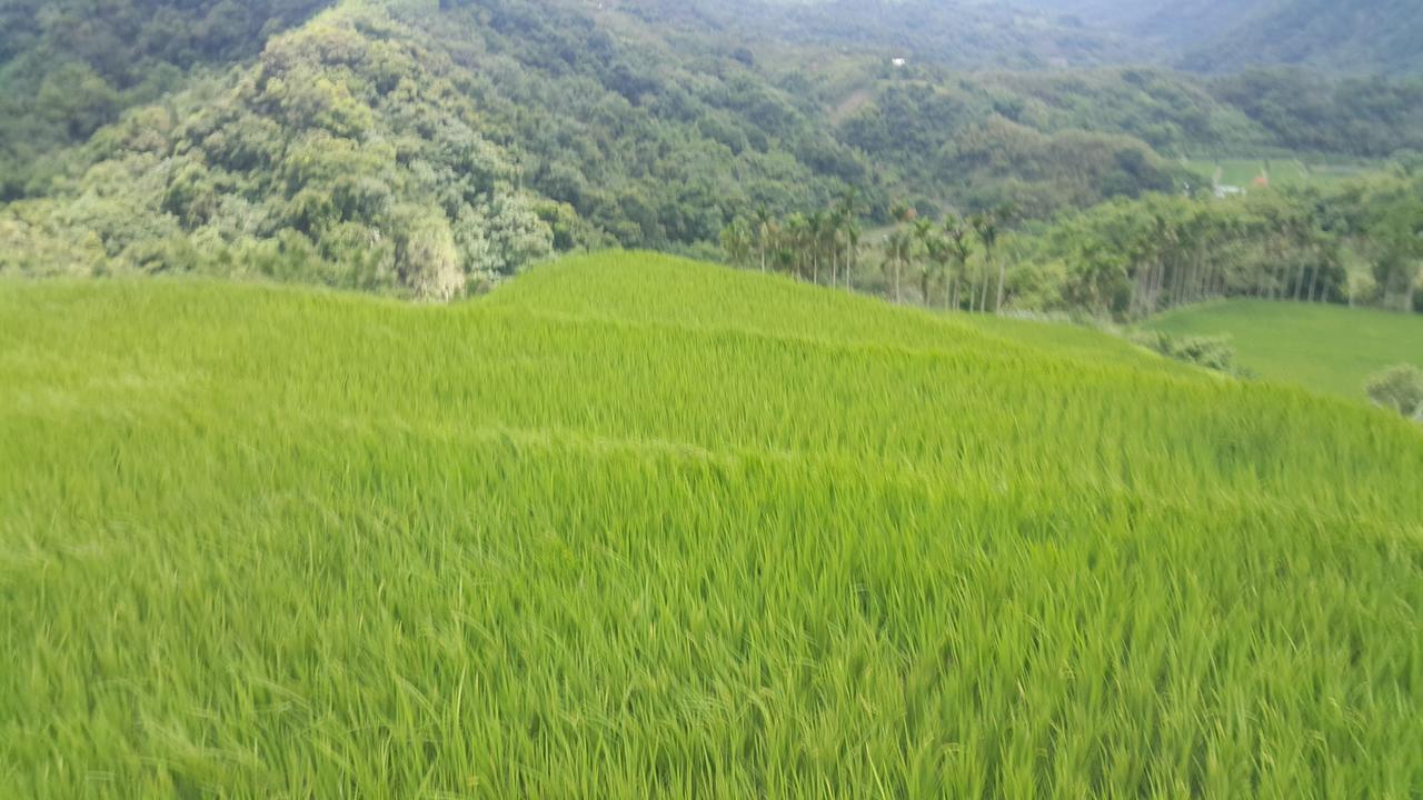 五葉松民宿-電梯民宿 近慈濟中小學及慈科大及人社院 Kota Hualien Bagian luar foto